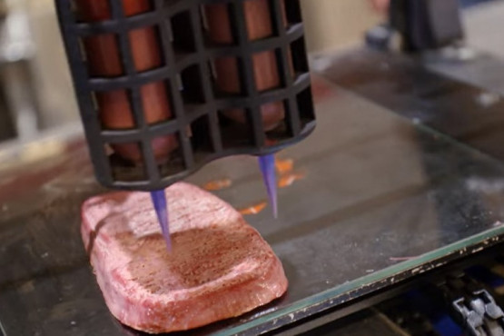 Bioimpresión 3D ¿el futuro de la carne?