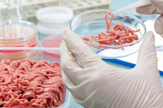 Los 4 retos tecnológicos para la transformación de carne de laboratorio a escala industrial