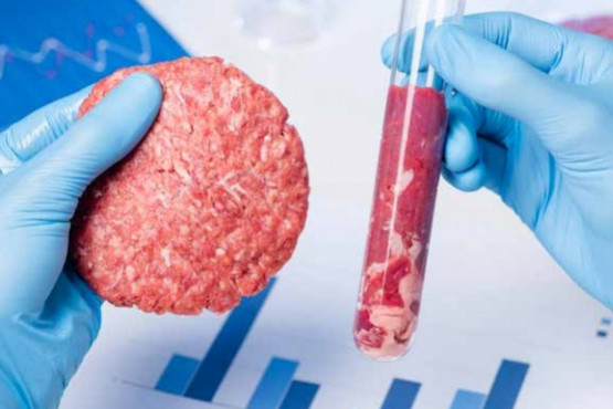 Beneficios y desafíos de la producción de carne celular
