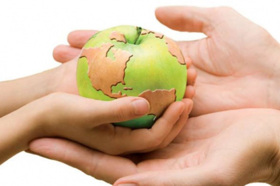 En busca de la conciencia y seguridad alimentaria