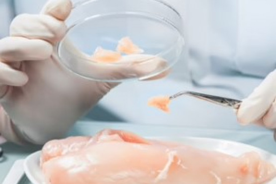 La FDA aprobó por primera vez la producción de carne cultivada en laboratorio 