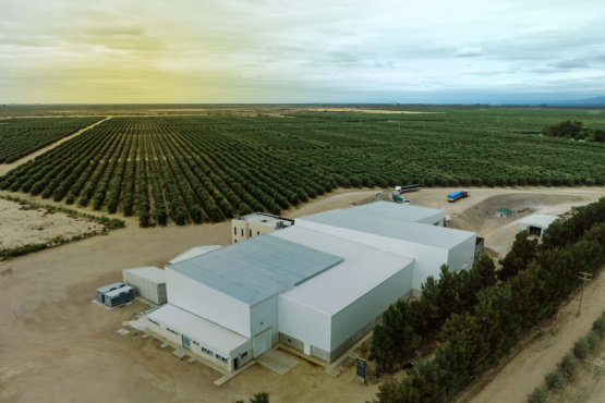 La mayor productora de aceite de oliva Solfrut inauguró una nueva planta industrial sustentable