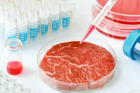 Ventajas y desventajas de la carne cultivada en laboratorio 