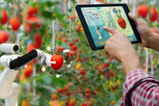 FoodTech: La revolución tecnológica que transforma la industria alimentaria hacia la sostenibilidad