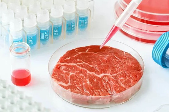 Aseguran que el cambio climático acelerará la creación de carne de laboratorio
