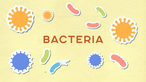 Agricultura Molecular y Microbiomas: Nutrición del Futuro