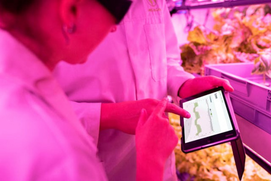 IA Generativa en Alimentos: Del Concepto al Producto Final