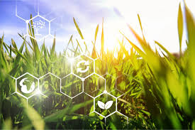 Agricultura regenerativa: ¿Cómo impacta en la percepción del consumidor?