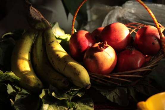 Nutrición Regenerativa: Alimentos que Sanan Tierra y Salud