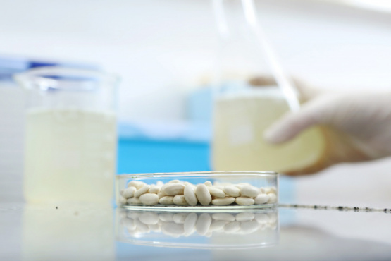 Agua de cocción de porotos: un ingrediente para alimentos saludables