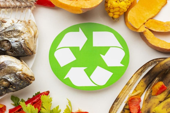 Gastronomía circular, un camino hacia la sostenibilidad alimentaria