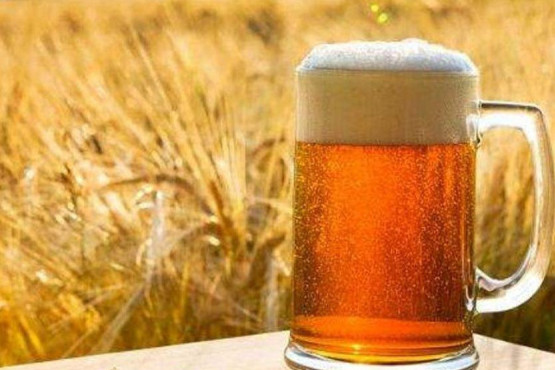 Reutilizan residuos cerveceros para generar cervezas con propiedades funcionales