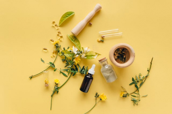 Bioactivos emergentes: hongos, adaptógenos y postbióticos