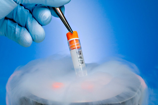 Criogenia alimentaria: qué es y cómo transforma la gastronomía 