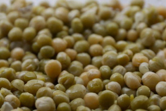 La producción de legumbres 2024/2025 creció 57% 