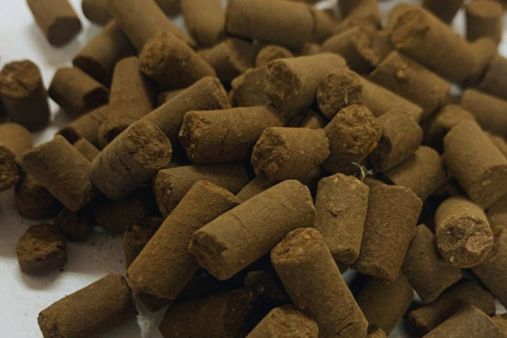 Desarrollan Biopellet que transforma residuos en fertilizante