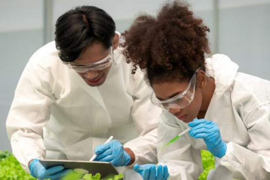 Nutrición Sostenible: La Importancia de Actuar Ahora