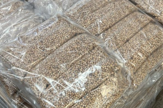 Banco de Alimentos Buenos Aires multiplicó la entrega de legumbres en 2025