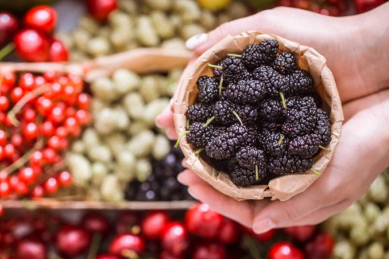 Polifenoles y longevidad: la ciencia detrás del bienestar nutricional