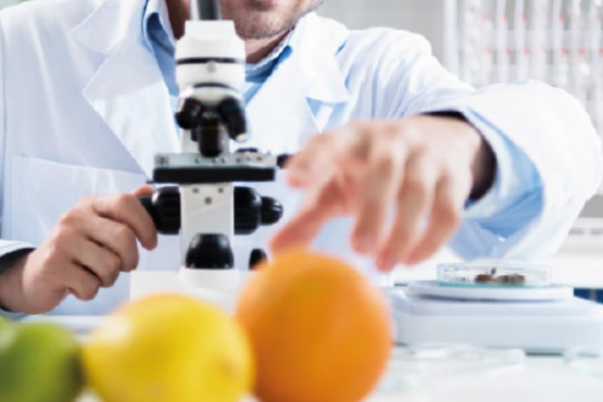 El MITA inicia curso de Tecnología de Aromas y Sabores