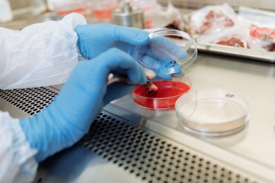 Del laboratorio a la mesa: ¿qué está pasando realmente con la carne cultivada?