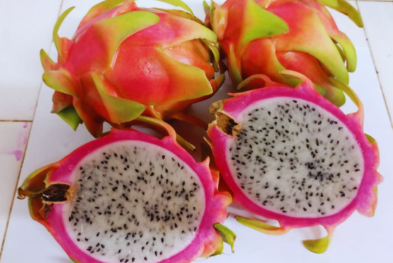 Impulsan la producción de Pitahaya en el norte argentino